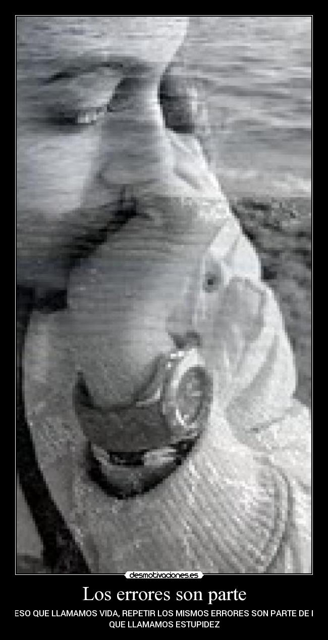 Los errores son parte -