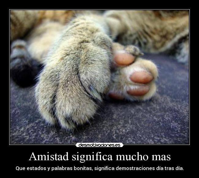 Amistad significa mucho mas - 