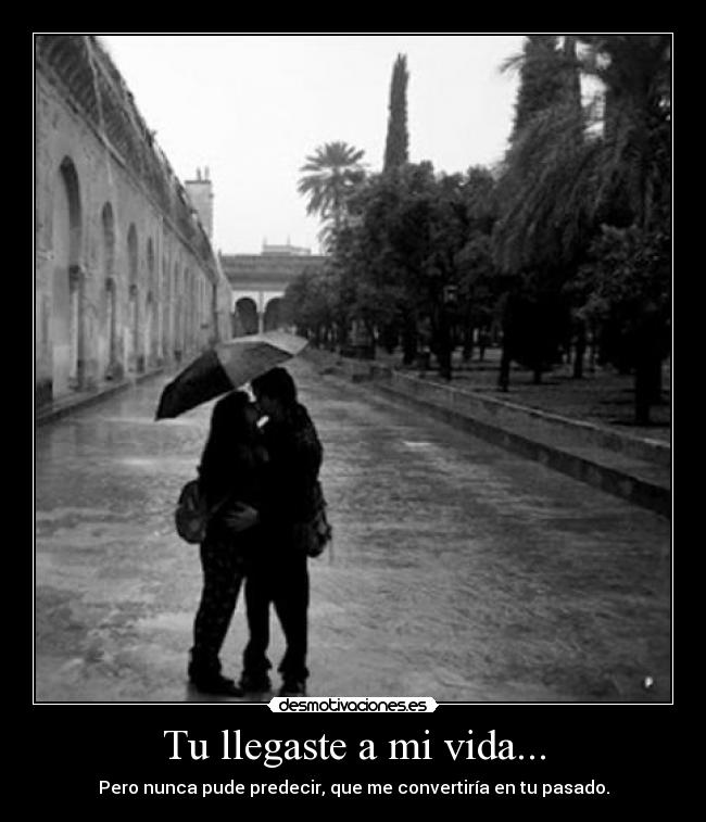 Tu llegaste a mi vida... - Pero nunca pude predecir, que me convertiría en tu pasado.