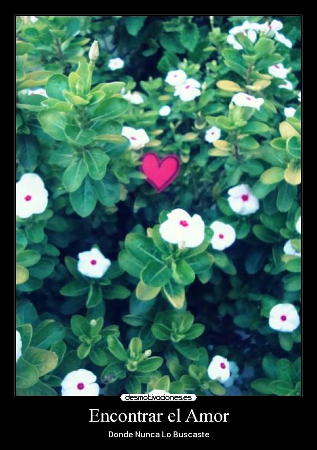 Encontrar el Amor - Donde Nunca Lo Buscaste