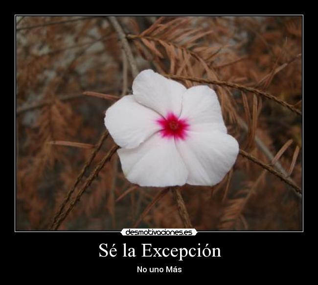 Sé la Excepción - No uno Más