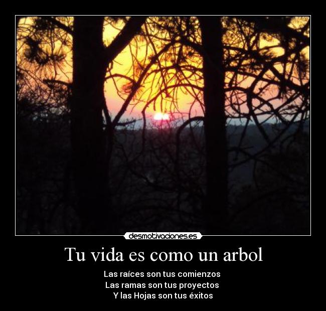 Tu vida es como un arbol - Las raíces son tus comienzos 
Las ramas son tus proyectos 
Y las Hojas son tus éxitos