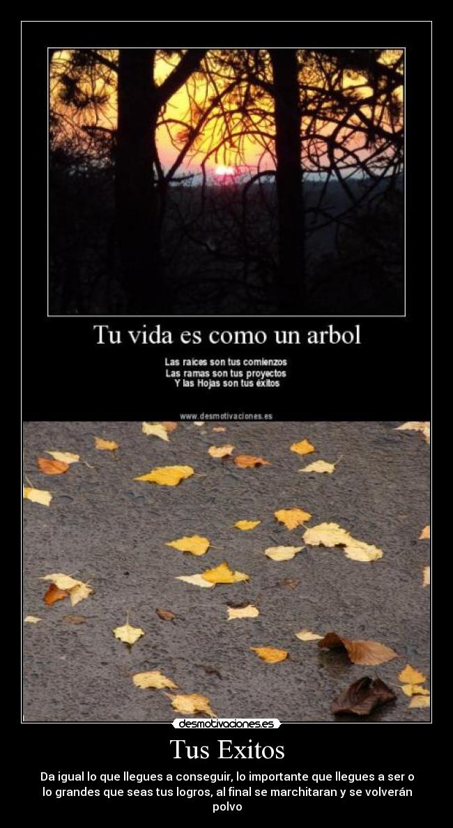 Tus Exitos - Da igual lo que llegues a conseguir, lo importante que llegues a ser o
lo grandes que seas tus logros, al final se marchitaran y se volverán
polvo