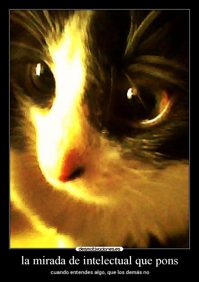 la mirada de intelectual que pons - cuando entendes algo, que los demás no