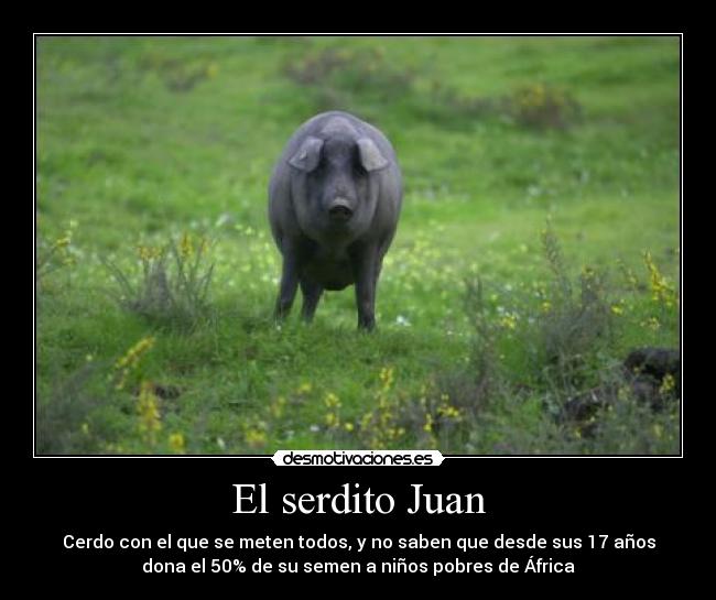 El serdito Juan - 
