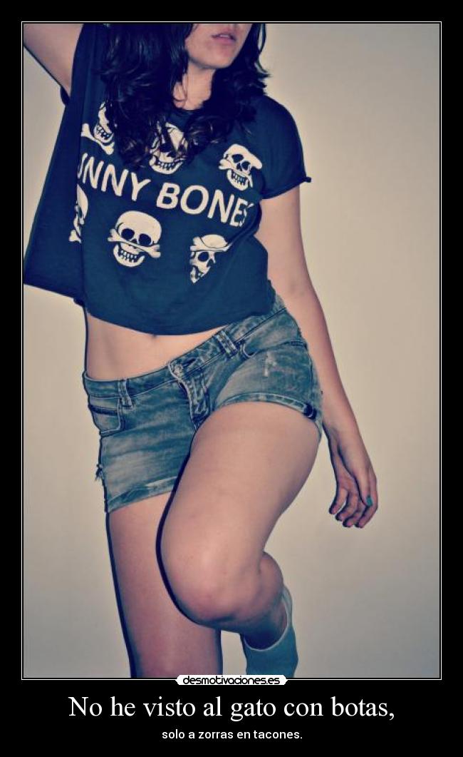 No he visto al gato con botas, -