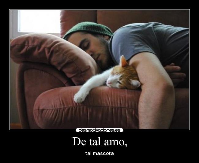 carteles wiiiiiiiiiii super28 ataqueeeeeeeeeeeeee tengo ideas motivadoras desmotivadoras desmotivaciones