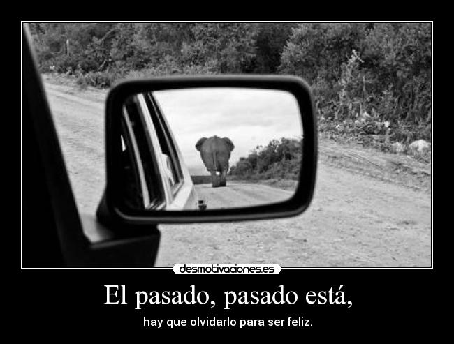 carteles pasado pasado mgaminicartel fuck logic desmotivaciones