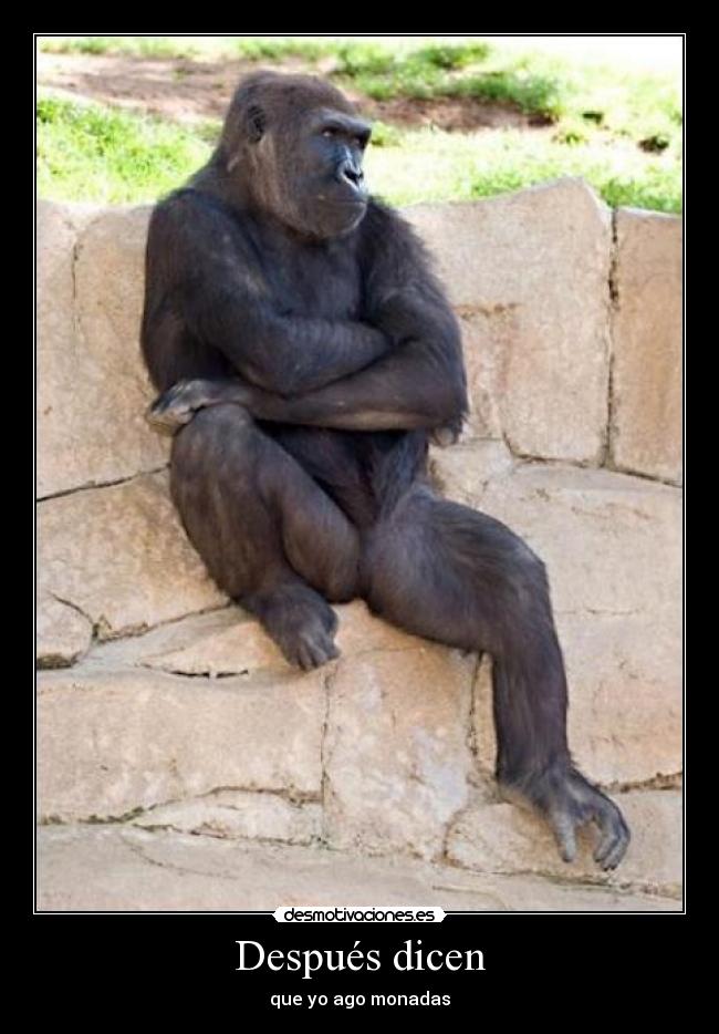 Después dicen - que yo ago monadas