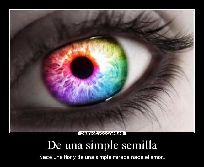 De una simple semilla - Nace una flor y de una simple mirada nace el amor..