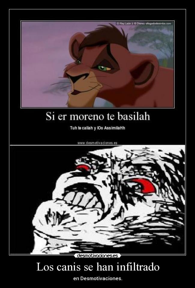Los canis se han infiltrado - 