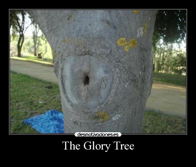 The Glory Tree -