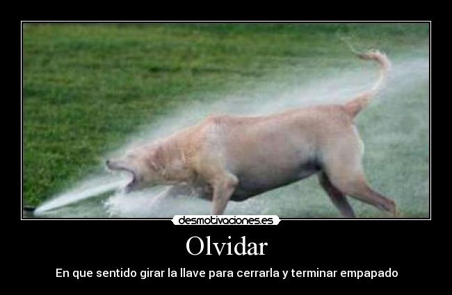 Olvidar - En que sentido girar la llave para cerrarla y terminar empapado