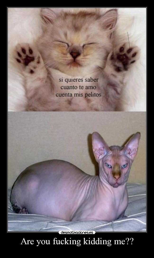 Are you fucking kidding me?? - 