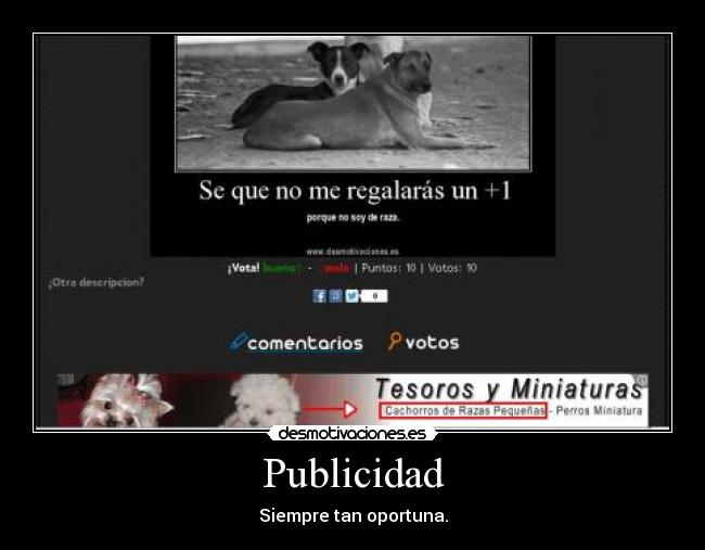 Publicidad - Siempre tan oportuna.