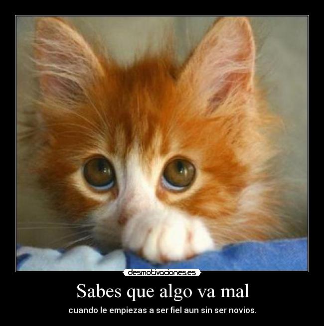 Sabes que algo va mal - cuando le empiezas a ser fiel aun sin ser novios.