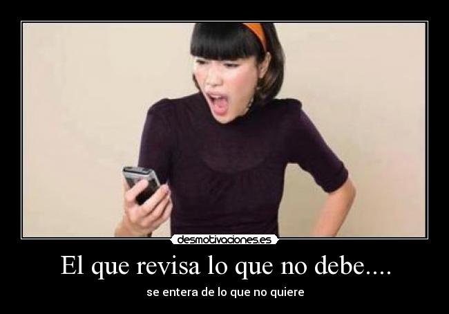 El que revisa lo que no debe.... - 