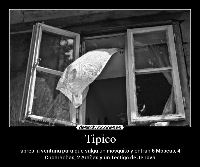 Tipico - abres la ventana para que salga un mosquito y entran 6 Moscas, 4
Cucarachas, 2 Arañas y un Testigo de Jehova