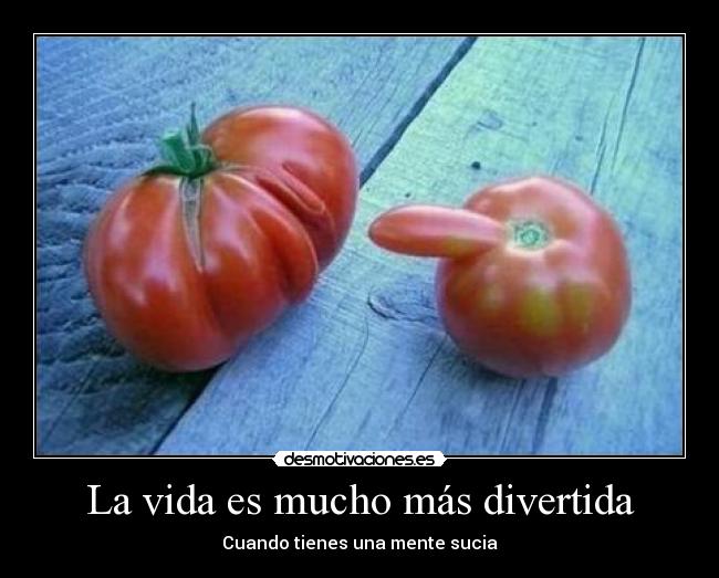 La vida es mucho más divertida - 