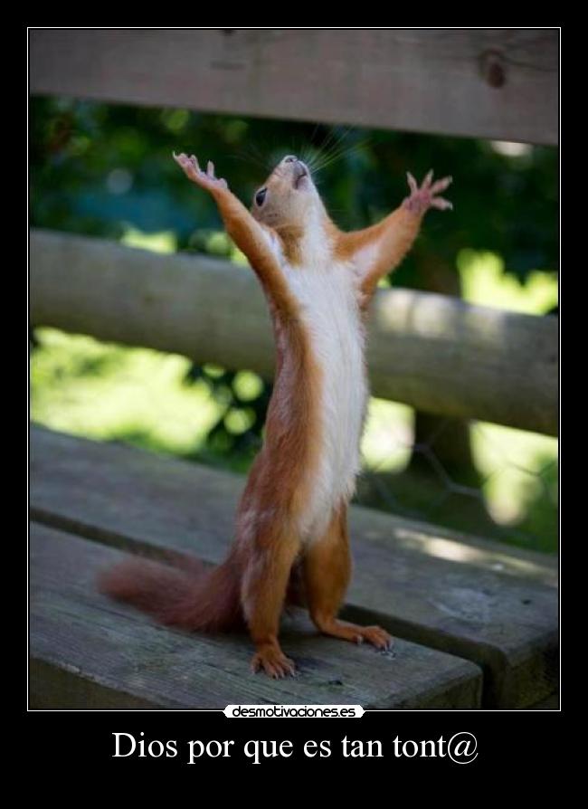 Dios por que es tan tont@ - 