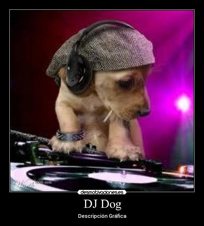 DJ Dog - Descripción Gráfica