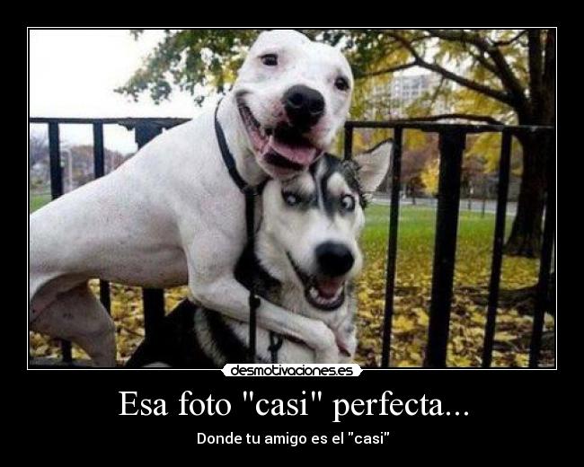 Esa foto casi perfecta... - Donde tu amigo es el casi