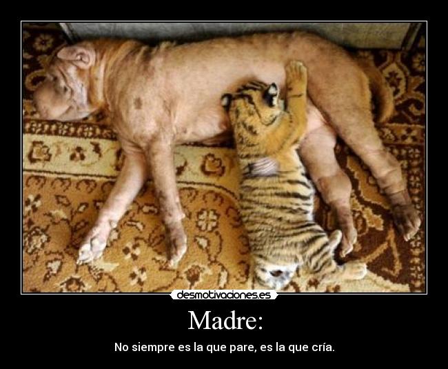 Madre: -