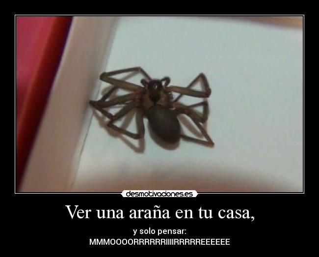 Ver una araña en tu casa, - y solo pensar:
MMMOOOORRRRRRIIIIRRRRREEEEEE