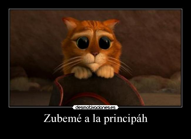 Zubemé a la principáh -