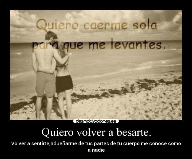 Quiero volver a besarte. -