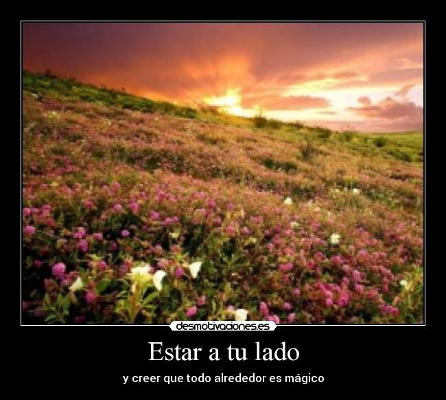 carteles amoorrr amor que loco nanana nananna lalala desmotivaciones