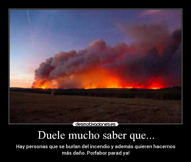 Duele mucho saber que... - Hay personas que se burlan del incendio y además quieren hacernos
más daño. Porfabor parad ya!