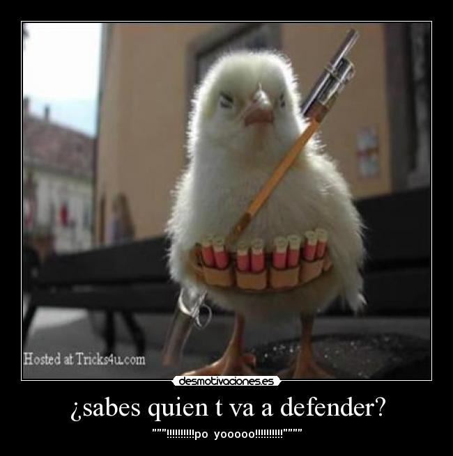 carteles xd2x desmotivaciones