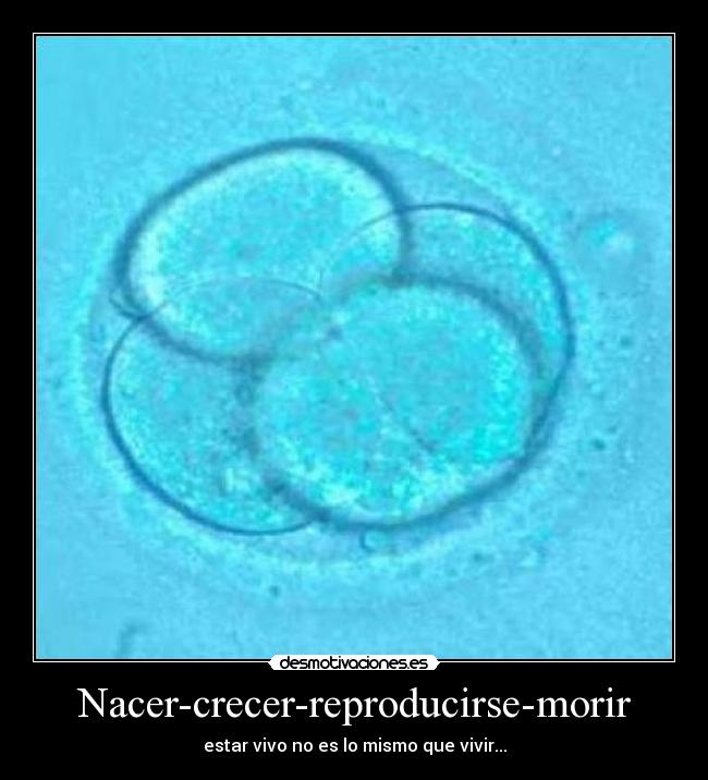 Nacer-crecer-reproducirse-morir - estar vivo no es lo mismo que vivir...