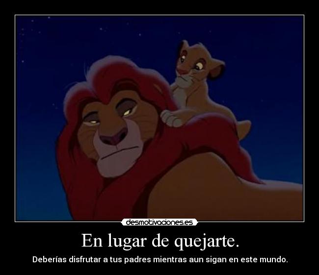 carteles gato intruders rey leon clanreyleon padres hay que quereles desmotivaciones