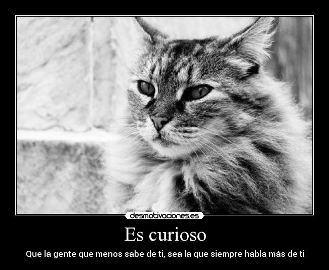 Es curioso - Que la gente que menos sabe de ti, sea la que siempre habla más de ti