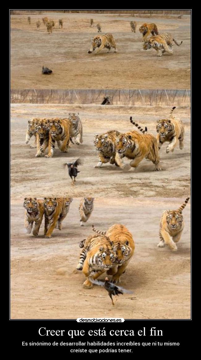 Creer que está cerca el fin - 