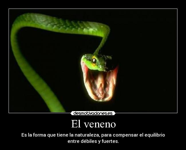 El veneno - Es la forma que tiene la naturaleza, para compensar el equilibrio
entre débiles y fuertes.