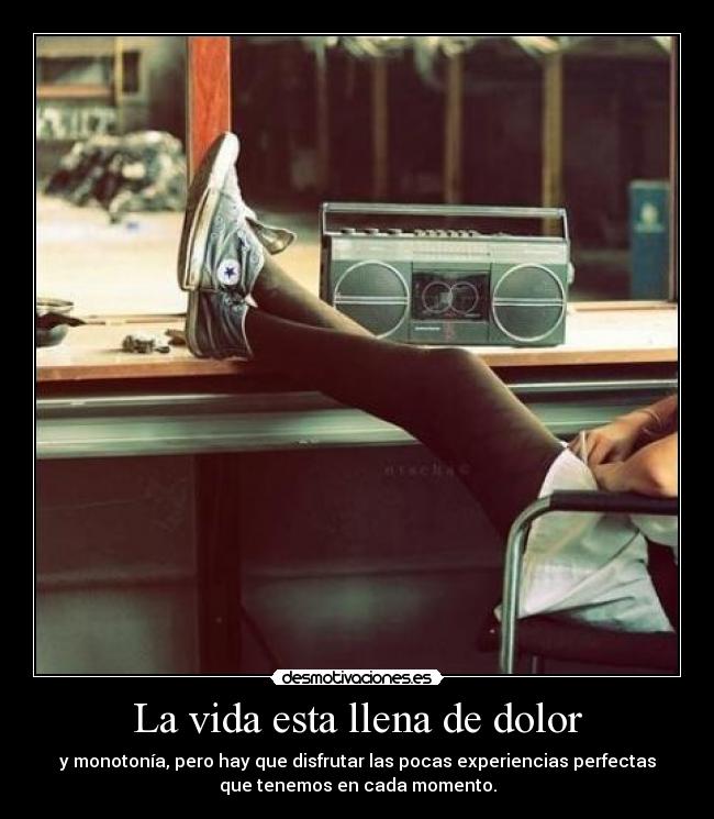 La vida esta llena de dolor - y monotonía, pero hay que disfrutar las pocas experiencias perfectas
que tenemos en cada momento.