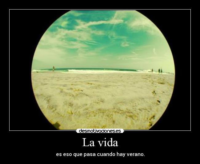 carteles vida vida summer verano playa desmotivaciones