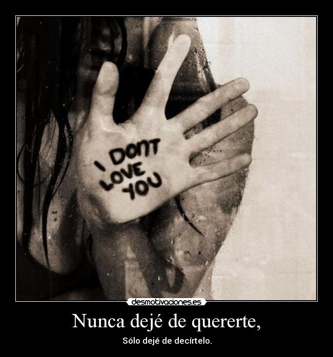 Nunca dejé de quererte, - Sólo dejé de decírtelo.