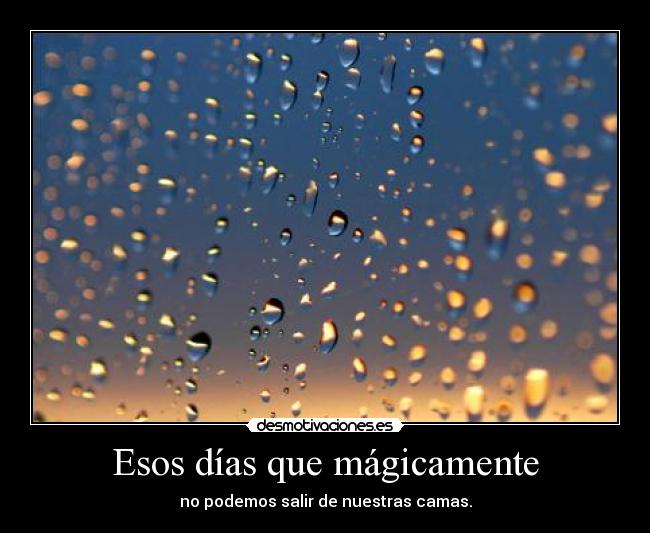Esos días que mágicamente - 