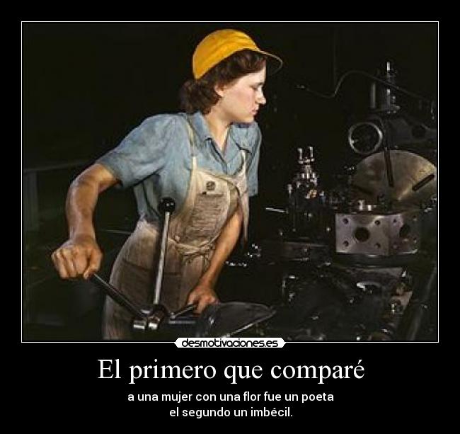 carteles por que todos somos iguales desmotivaciones