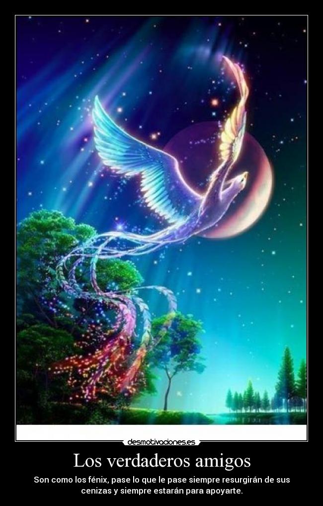 Los verdaderos amigos - Son como los fénix, pase lo que le pase siempre resurgirán de sus
cenizas y siempre estarán para apoyarte.