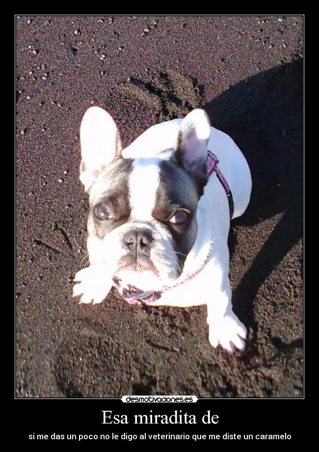 carteles esa miradita desmotivaciones