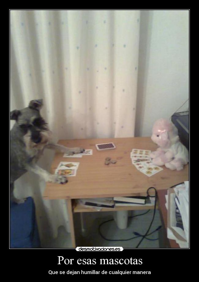 Por esas mascotas - Que se dejan humillar de cualquier manera