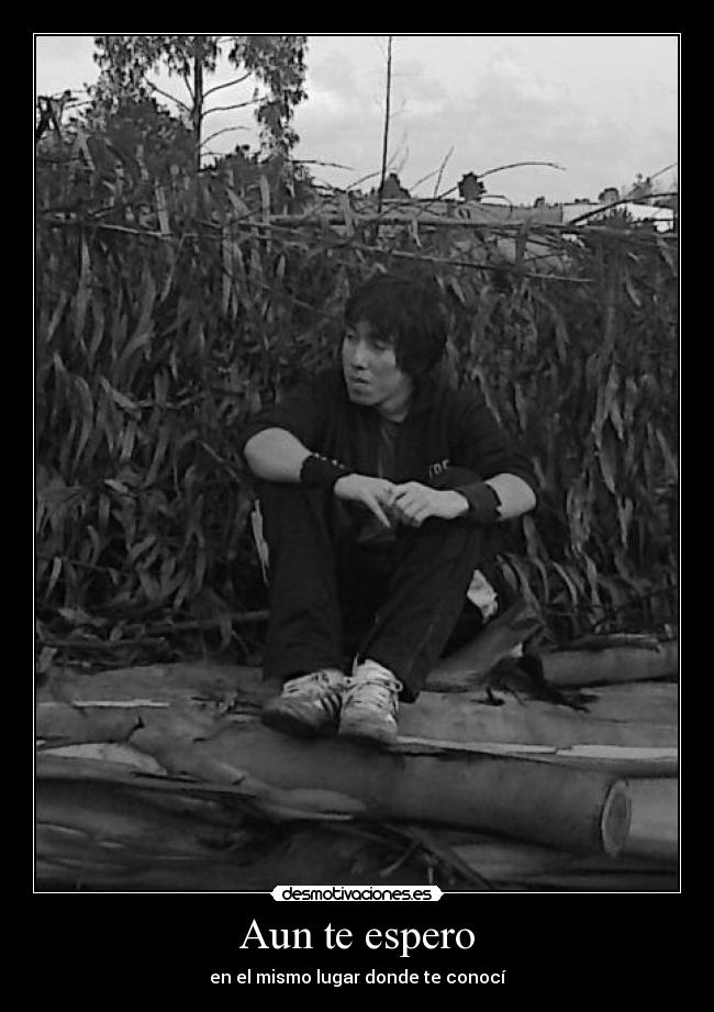 Aun te espero - 