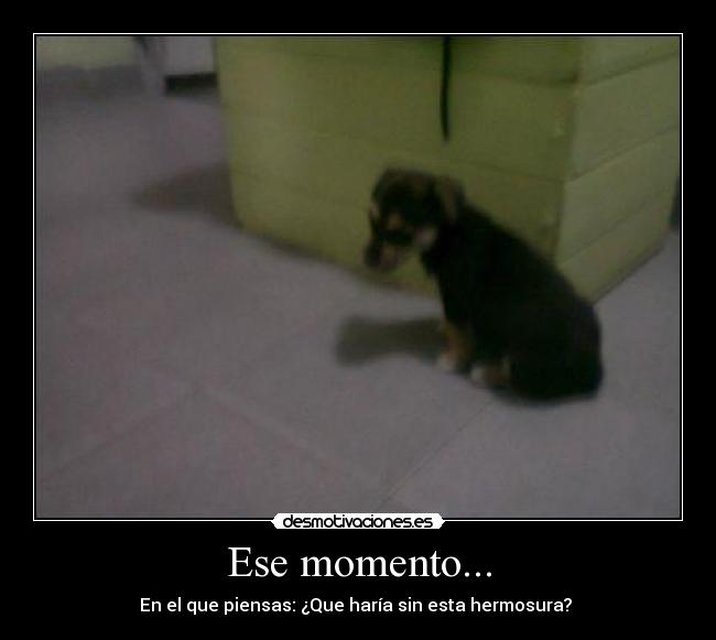 Ese momento... -