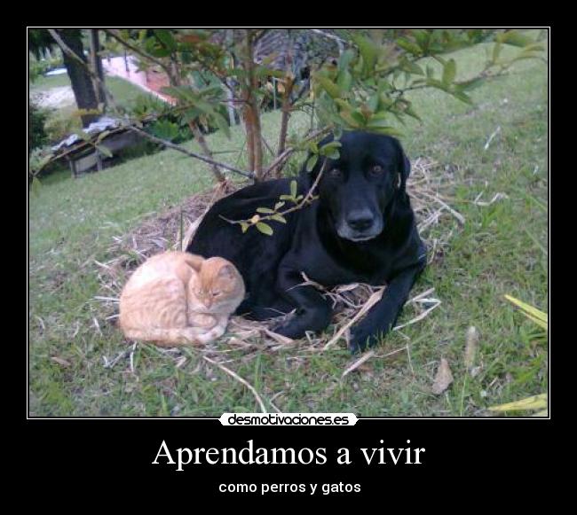 Aprendamos a vivir - 