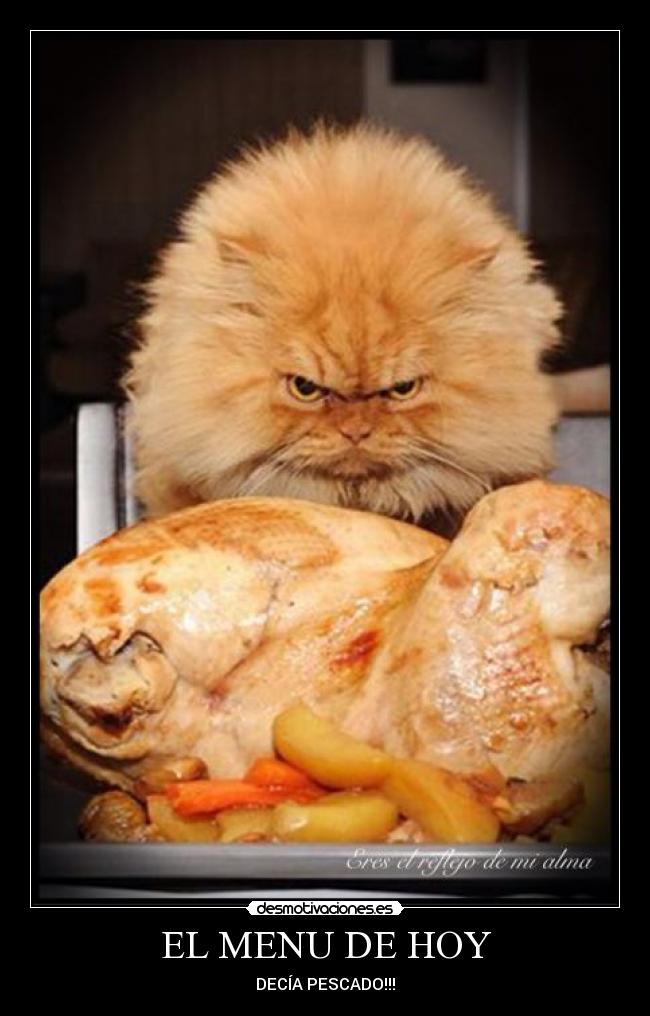 EL MENU DE HOY - DECÍA PESCADO!!!